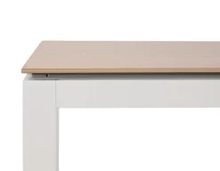 Selma Havebord - Silicate - 100x200 cm - Gråhvid